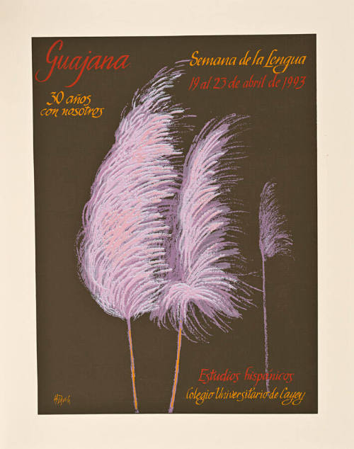 Guajana, 30 años con nosotros