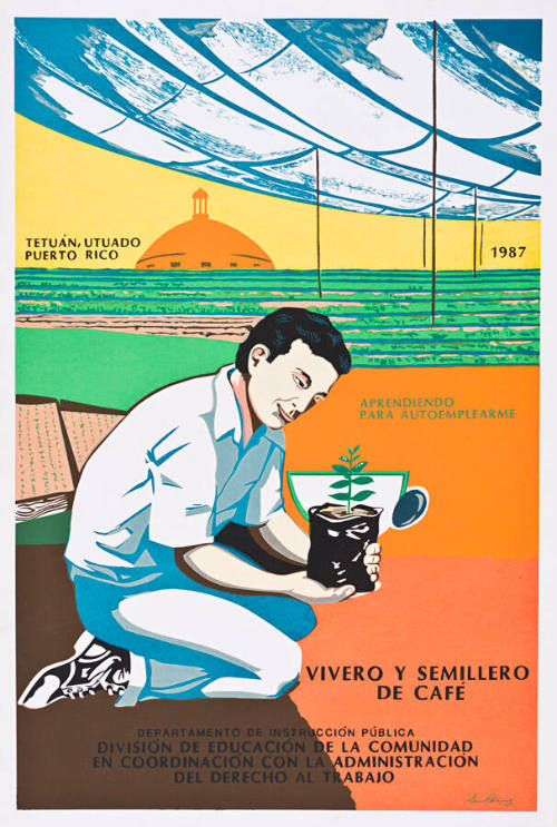 Vivero y Semillero de Café