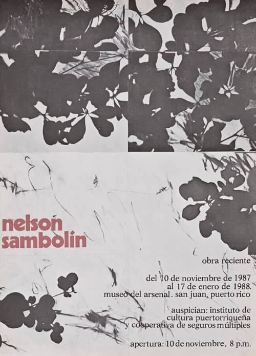 Nelson Sambolín, obra reciente