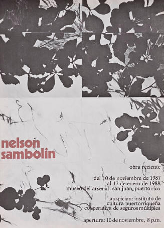 Nelson Sambolín, obra reciente