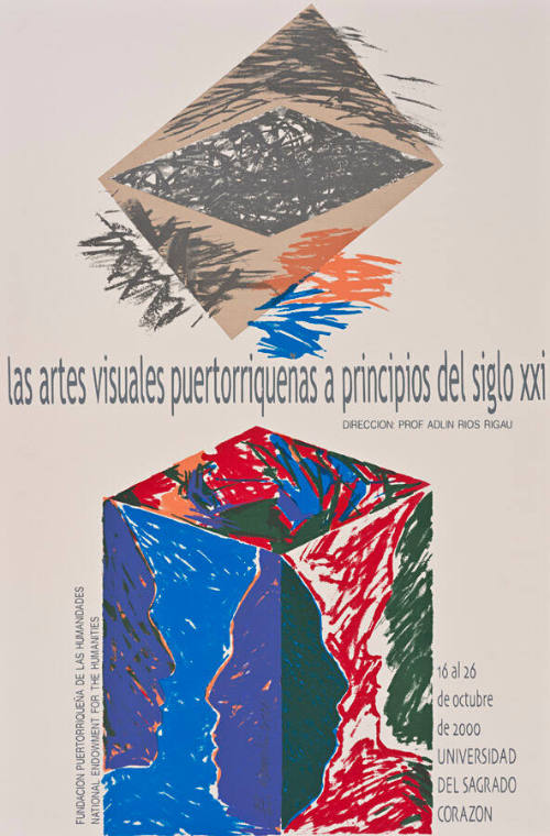Las artes visuales puertorriqueñas a principios del siglo XXI