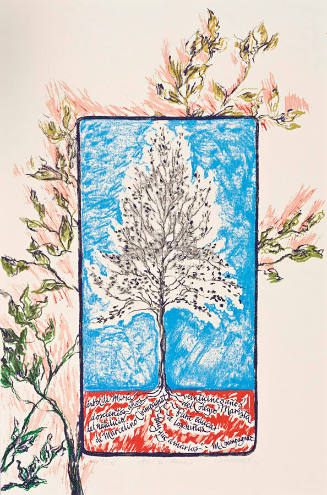 Veinticinco años del Colegio Marista