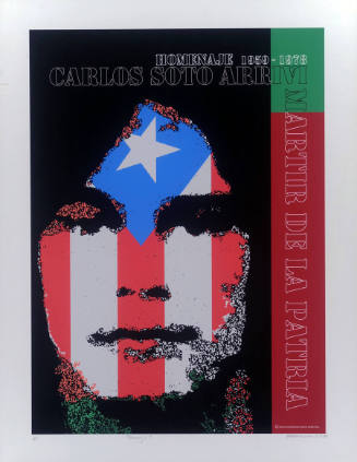 Carlos Soto Arriví (Cerro Maravilla)