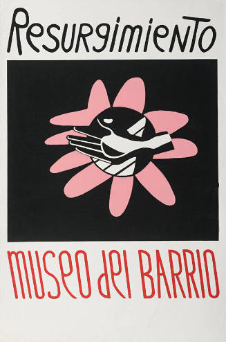 Resurgimiento del Museo del Barrio