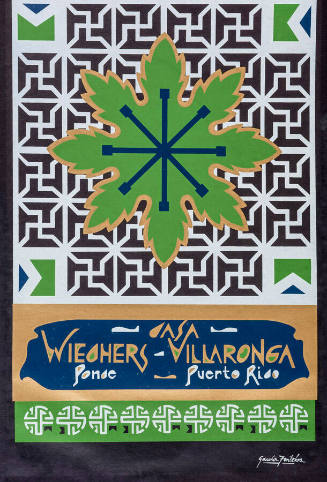 Casa Wiechers- Villaronga