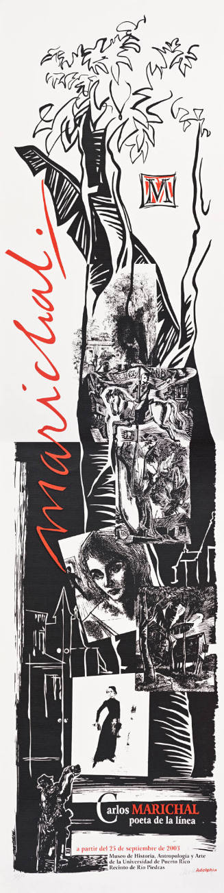 Carlos Marichal: Poeta de la línea