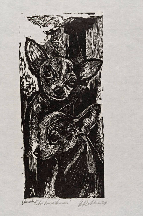 Chihuahuas
