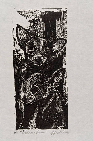 Chihuahuas