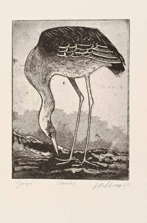Garza