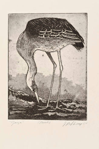 Garza