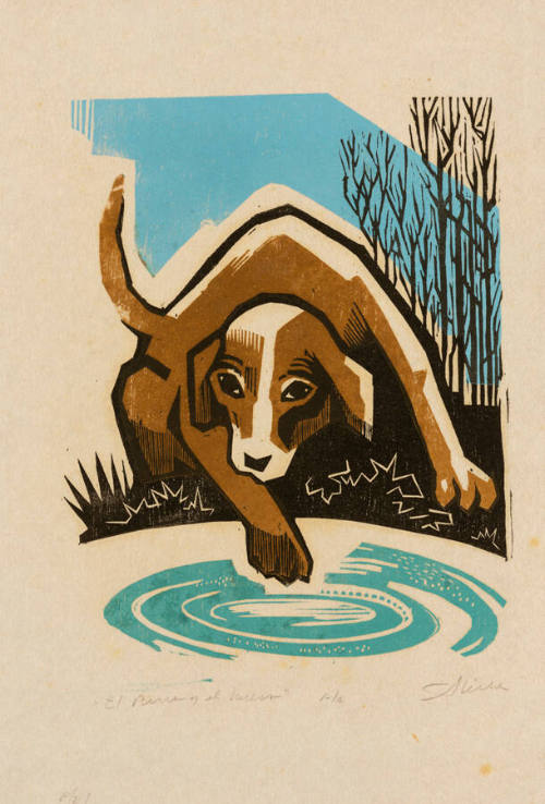 El Perro y el Hueso
Portafolio Nueve Fábulas de Esopo